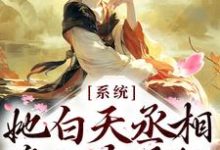 完结版《逆天！她白天丞相，晚上太子妃》在线免费阅读-薯片文学