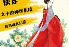 完结版《快穿之小说神作系统》章节阅读-薯片文学