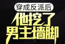 《穿成反派后，他挖了男主墙脚》小说章节在线试读，《穿成反派后，他挖了男主墙脚》最新章节目录-薯片文学