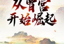 完结版《三国：从曹营开始崛起》在线免费阅读-薯片文学