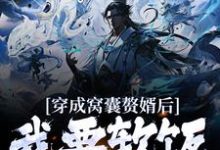 完结版《穿成窝囊赘婿后，我要软饭硬吃！》免费阅读-薯片文学