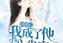 完结版《再婚后，我成了他的心尖宠》章节阅读-薯片文学