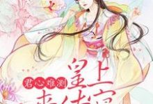 小说《君心难测：皇上来侍寝》在线章节阅读-薯片文学