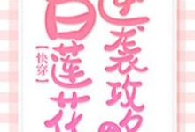 《快穿：白莲花逆袭攻略》全集免费在线阅读（苏清影冥夜周招摇）-薯片文学