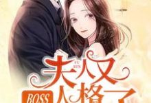 BOSS，夫人又人格分裂了小说阅读，BOSS，夫人又人格分裂了完结版-薯片文学