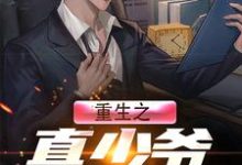 主角叫陆思远安新雅的小说在哪阅读-薯片文学