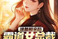 《准备相亲后，霸道女总裁倒追我》全集免费在线阅读（林浩）-薯片文学