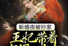 新婚夜被抄家，王妃带着空间入皇宫苏云宛秦君屹，新婚夜被抄家，王妃带着空间入皇宫最新章节-薯片文学