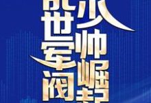 乱世军阀少帅崛起小说最新更新在哪里？免费在线看-薯片文学