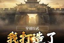 完结版《穿越综武：我打造了不朽大夏》章节阅读-薯片文学