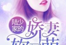 完结版《陆少家的娇妻软又萌》在线免费阅读-薯片文学