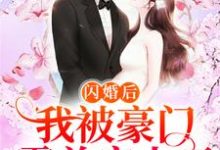 闪婚后，我被豪门霸总宠上天小说有没有完整的免费版本在线阅读？-薯片文学