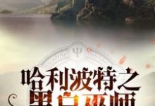 《哈利波特之黑白巫师》小说章节列表免费试读，罗斯·邓曼莱昂·迈斯小说在线阅读-薯片文学