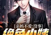 哪里能找到亲妈不爱？没事，绝色小姨超宠我小说的最新更新和免费章节？-薯片文学