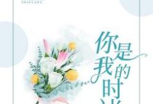 完结版《你是我的时光》章节阅读-薯片文学