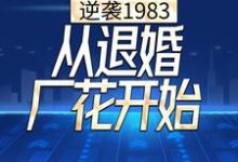 逆袭1983，从退婚厂花开始小说在线章节免费阅读-薯片文学