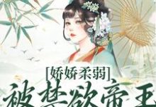 主人公叫裴慎宋泱泱的小说哪里免费看-薯片文学