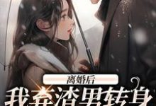 《离婚后，我弃渣男转身嫁禁欲大佬》小说章节在线试读，《离婚后，我弃渣男转身嫁禁欲大佬》最新章节目录-薯片文学