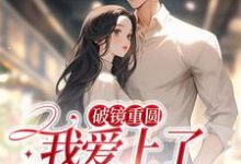 完结版《破镜重圆：我爱上了高门之子》章节阅读-薯片文学