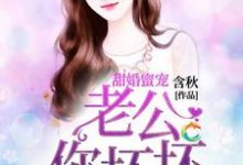 甜婚蜜宠：老公你坏坏免费阅读，甜婚蜜宠：老公你坏坏章节在线阅读-薯片文学