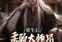 完结版《重生后，柔弱大师兄变成冷面修罗了》章节阅读-薯片文学