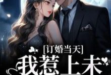 顾彦礼南乔季书宇小说《订婚当天，我惹上未婚夫小叔》在线阅读-薯片文学