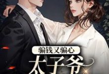 完结版《骗钱又骗心，太子爷追妻路漫漫》章节目录在线阅读-薯片文学