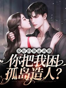 说好的领证离婚，你把我困孤岛造人？小说阅读，说好的领证离婚，你把我困孤岛造人？完结版