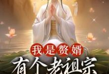 完结版《我是赘婿，有个老祖宗娘子很合理吧》章节阅读-薯片文学