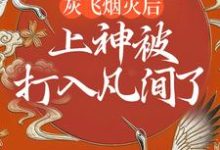 完结版《灰飞烟灭后，上神被打入凡间了》在线免费阅读-薯片文学