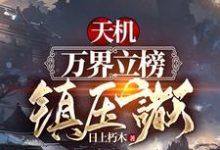 完结版《天机：万界立榜，镇压诸天！》章节阅读-薯片文学