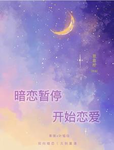 完结版《暗恋暂停，开始恋爱》章节阅读