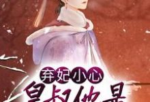 完结版《弃妃小心，皇叔他是醋精转世》免费阅读-薯片文学