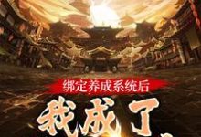 《绑定养成系统后，我成了无上神帝》全集免费在线阅读（叶辰洛清梦）-薯片文学