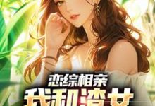 完结版《恋综相亲：我和渣女小姨恋爱了》章节阅读-薯片文学