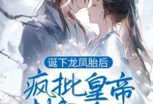 完结版《诞下龙凤胎后，疯批皇帝封我为后》章节阅读-薯片文学