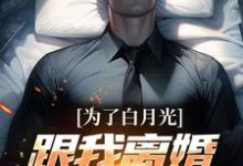 完结版《为了白月光跟我离婚，我走你哭啥》章节目录在线阅读-薯片文学