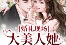 《婚礼现场，大美人她喜提绿帽》小说秦悦黎焰章节章节免费在线阅读-薯片文学