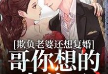 完结版《欺负老婆还想复婚，哥你想的太美了》免费阅读-薯片文学