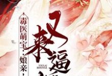 小说《毒医萌宝：娘亲，父皇又来逼婚了》章节免费阅读-薯片文学