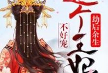 完结版《劫后余生：这个王妃不好宠》免费阅读-薯片文学