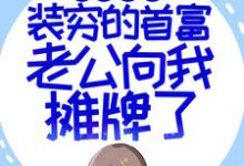 闪婚超甜：装穷的首富老公向我摊牌了免费阅读，闪婚超甜：装穷的首富老公向我摊牌了苏恩明燕-薯片文学