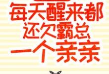 完结版《甜宠成婚：每天醒来都还欠霸总一个亲亲》章节阅读-薯片文学