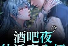 完结版《酒吧夜，他诱妻入怀》免费阅读-薯片文学