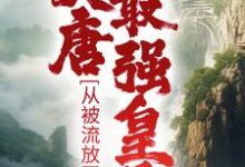 《大唐最强皇子：从被流放开始》小说章节在线试读，《大唐最强皇子：从被流放开始》最新章节目录-薯片文学