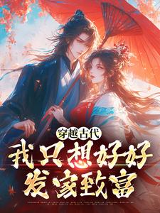 穿越古代，我只想好好发家致富这本小说怎么样？免费在线阅读试试