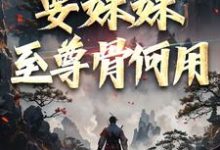 完结版《系统在手！要妹妹至尊骨何用》在线免费阅读-薯片文学