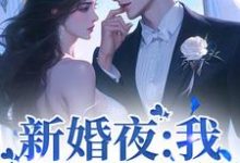 《新婚夜：我抱紧总裁腰》小说大结局免费试读 孟离傅知行小说-薯片文学