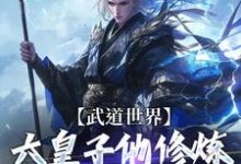 武道世界：六皇子他修炼修成逆子啦小说，武道世界：六皇子他修炼修成逆子啦章节在线阅读-薯片文学