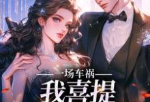 完结版《一场车祸，我喜提妻女一双？》免费阅读-薯片文学